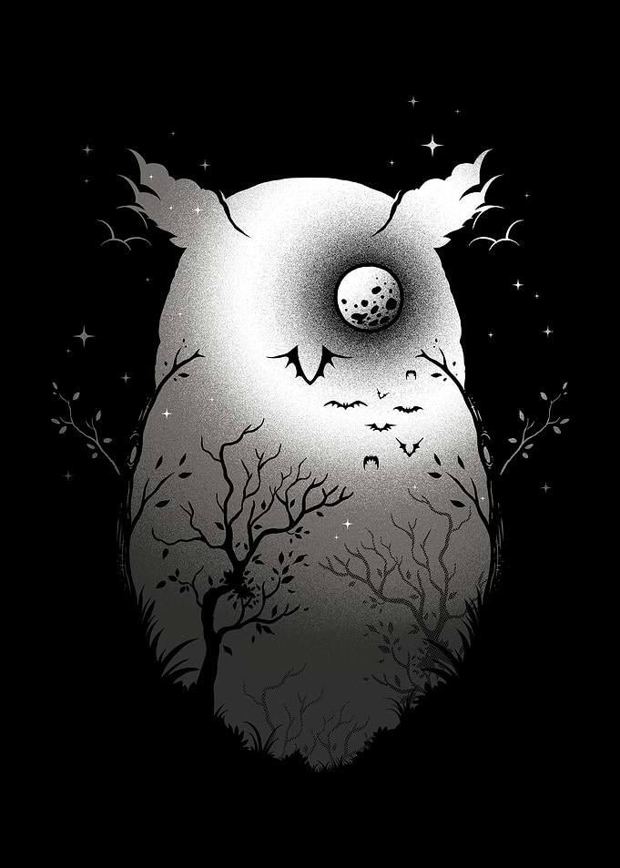 OWL NIGHT WISHES