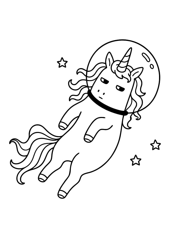 Unicorn In The Space