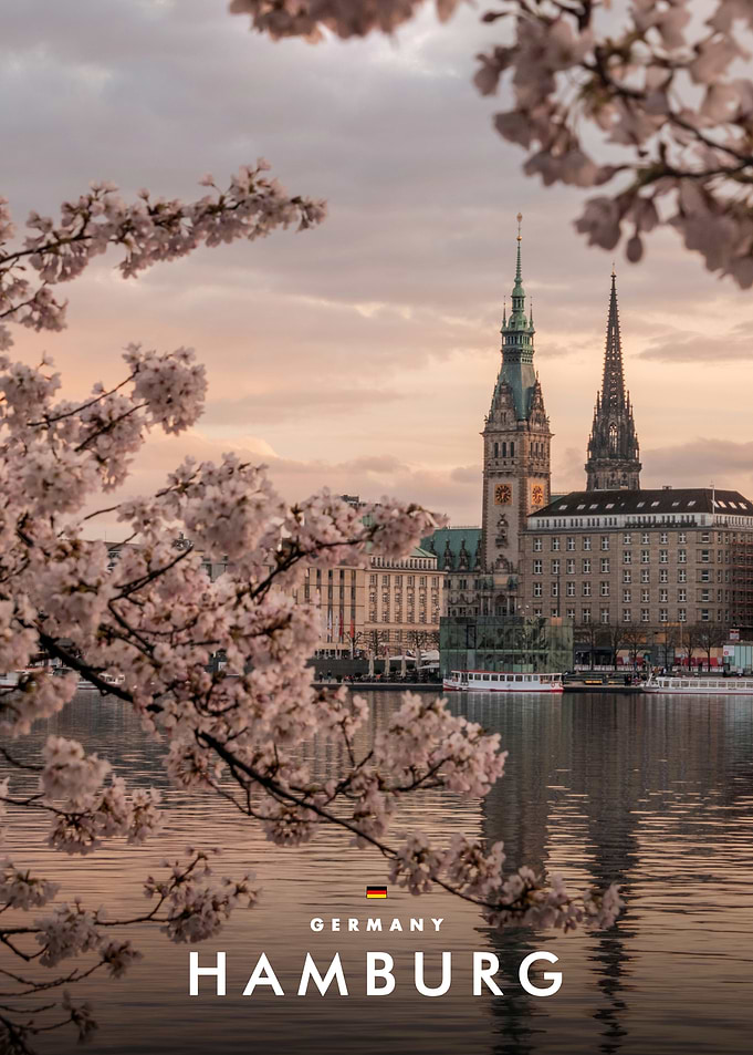 Cherry Blossoms at Hamburg City Hall