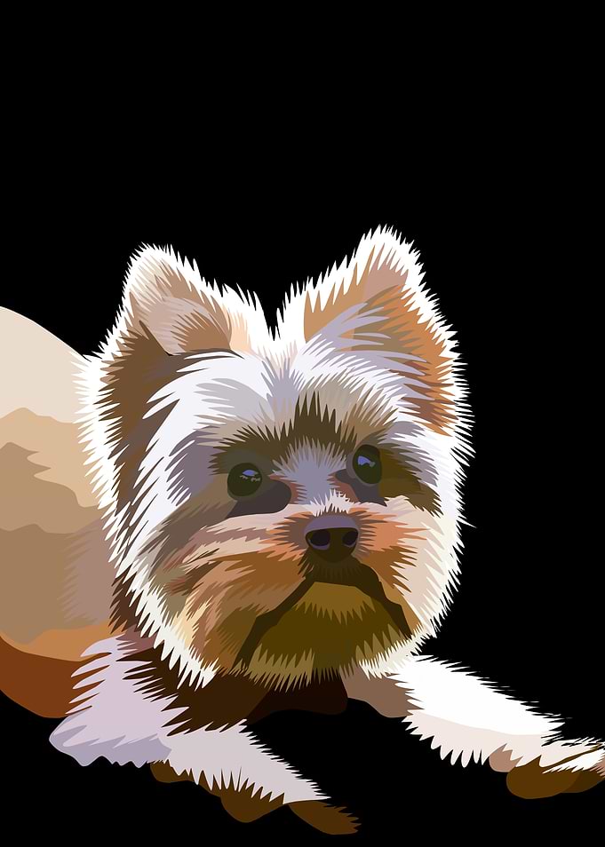 Stylized Yorkshire Terrier Portrait