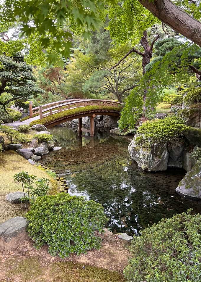 Serene Japanese Garden with Wooden Bridge
