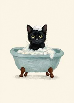 Black Cat Taking a Bubble Bath