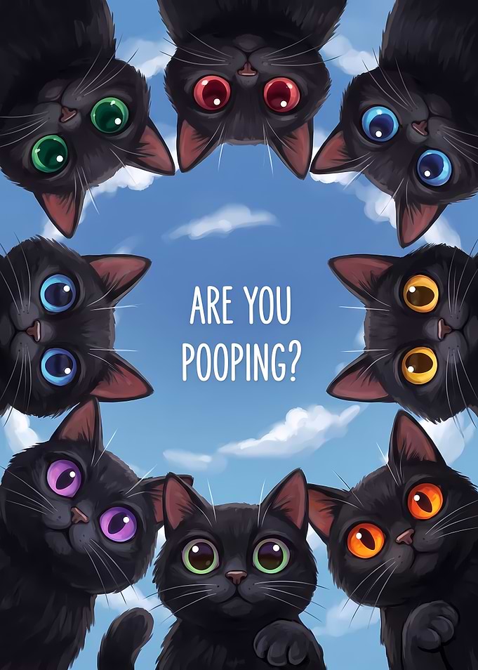 Funny Black Cats Peering Down