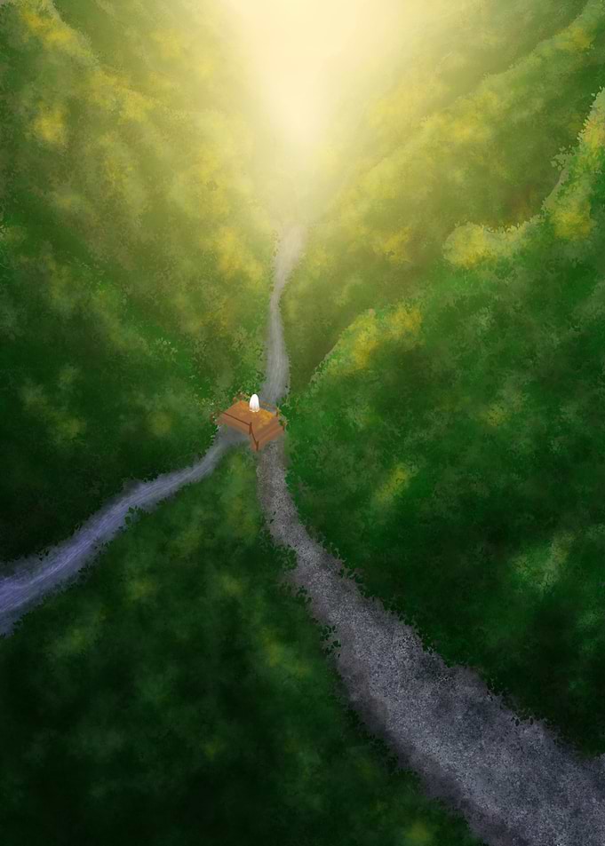 Aerial View of Forest