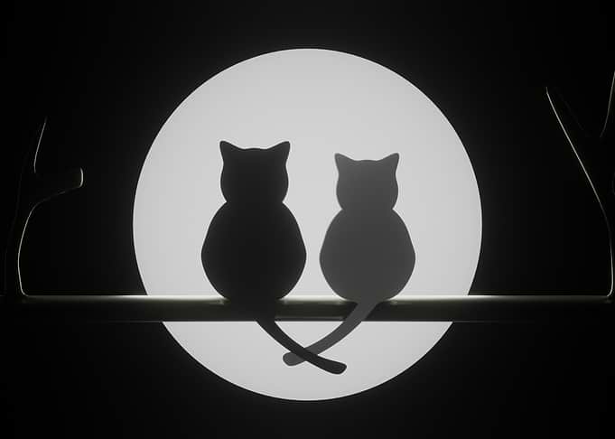 Two Cats Silhouetted Against Full Moon
