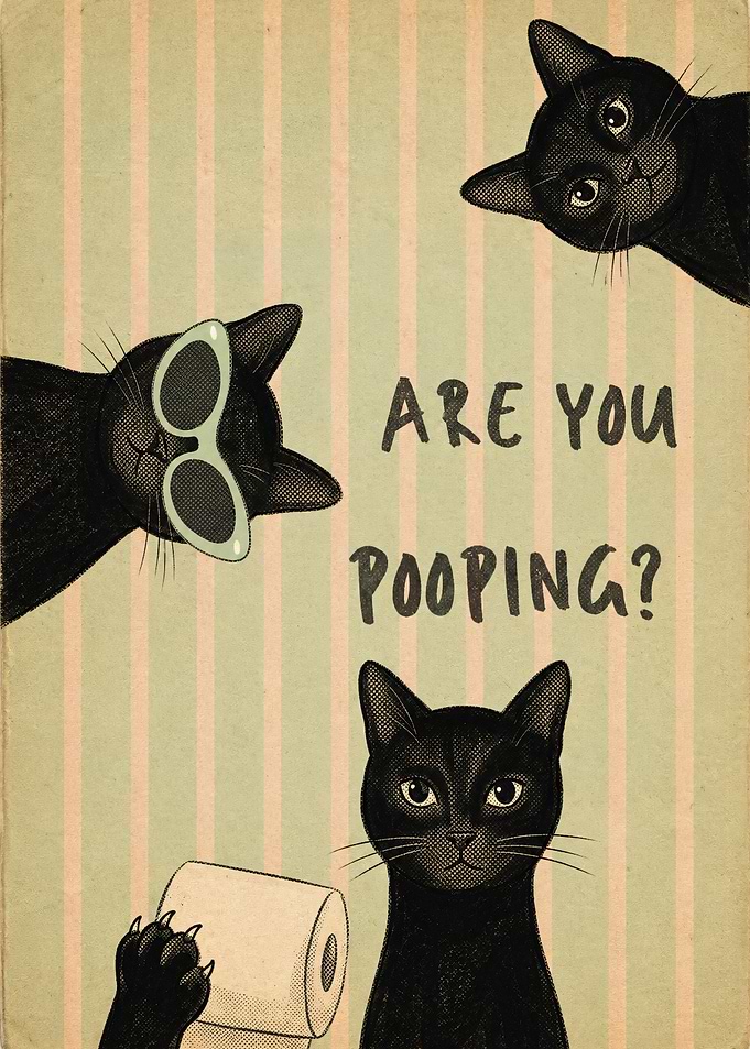 Funny Black Cat Bathroom Poster