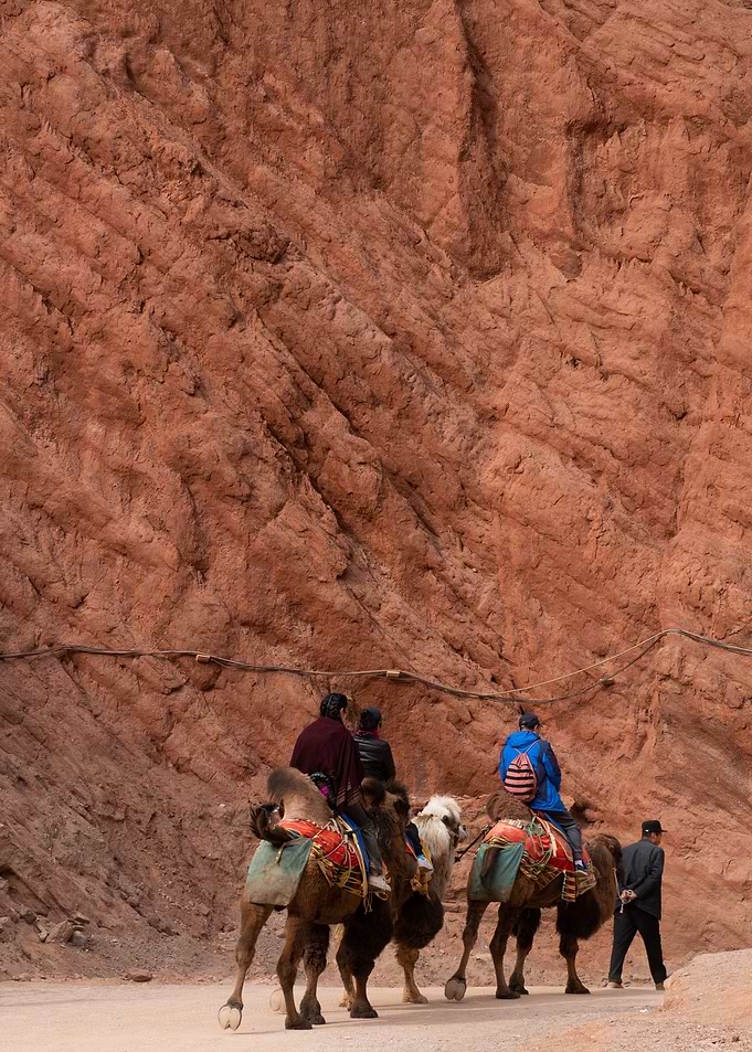 Tourists Riding Camels in Red Canyon