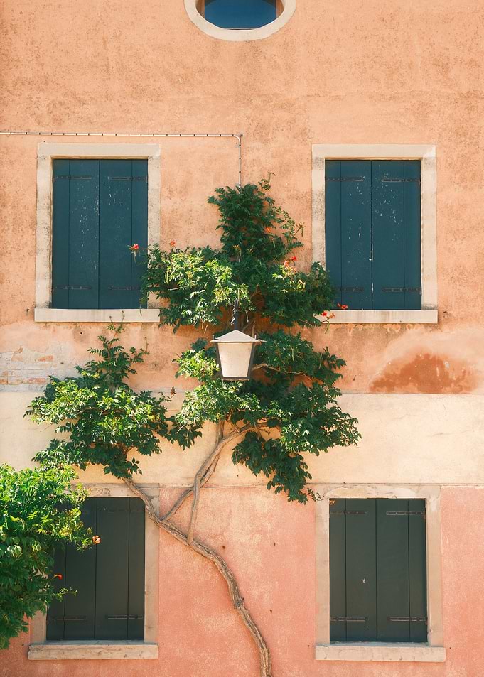Italian Rustic Facade with Climbing Vine