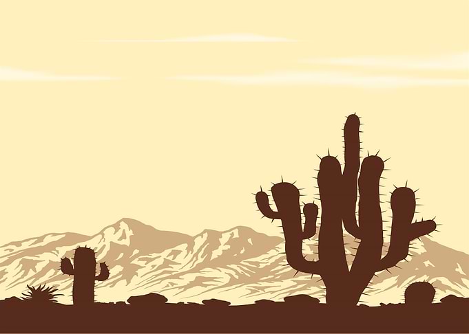 Desert Landscape with Saguaro Cacti