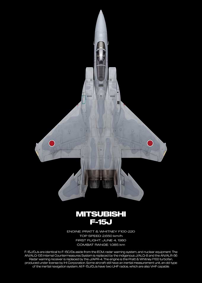 Mitsubishi F-15J Eagle Technical Poster