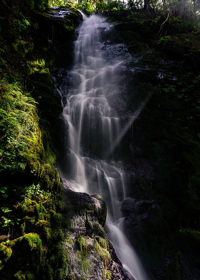 Cascading Waterfall in Lush Forest