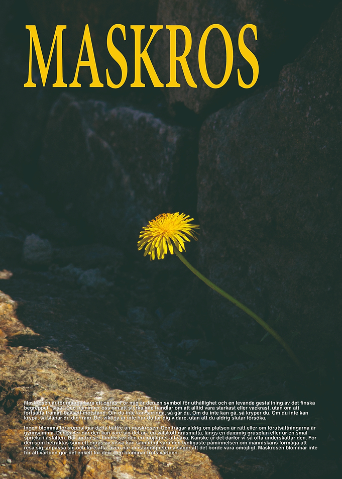 Dandelion Inspirational Poster