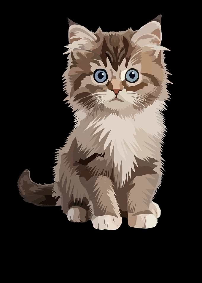 Cute Fluffy Tabby Kitten Illustration