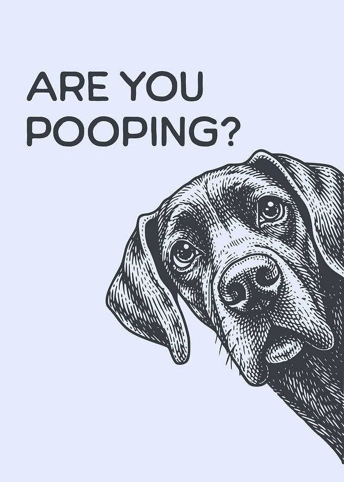 Are You Pooping? Funny Peeking Curious Great Dane Dog Bathroom Humor