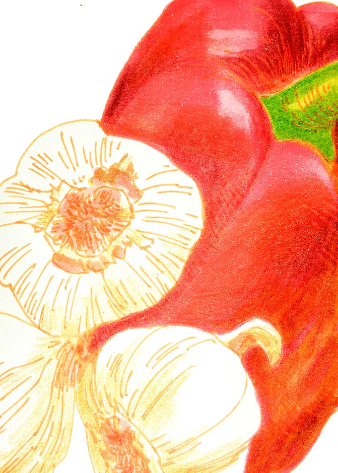 Red Bell Pepper and Garlic Illustration