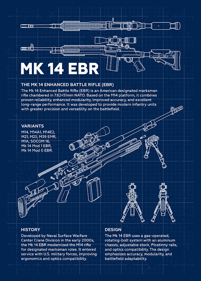 Mk 14 EBR Battle Rifle Blueprint
