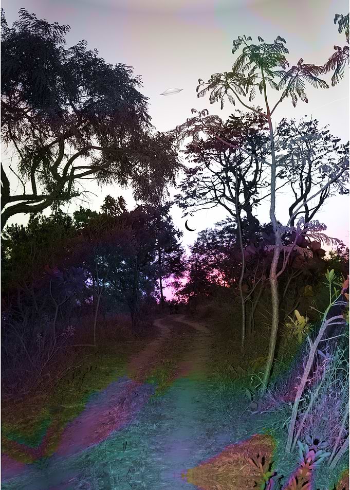Surreal Forest Path