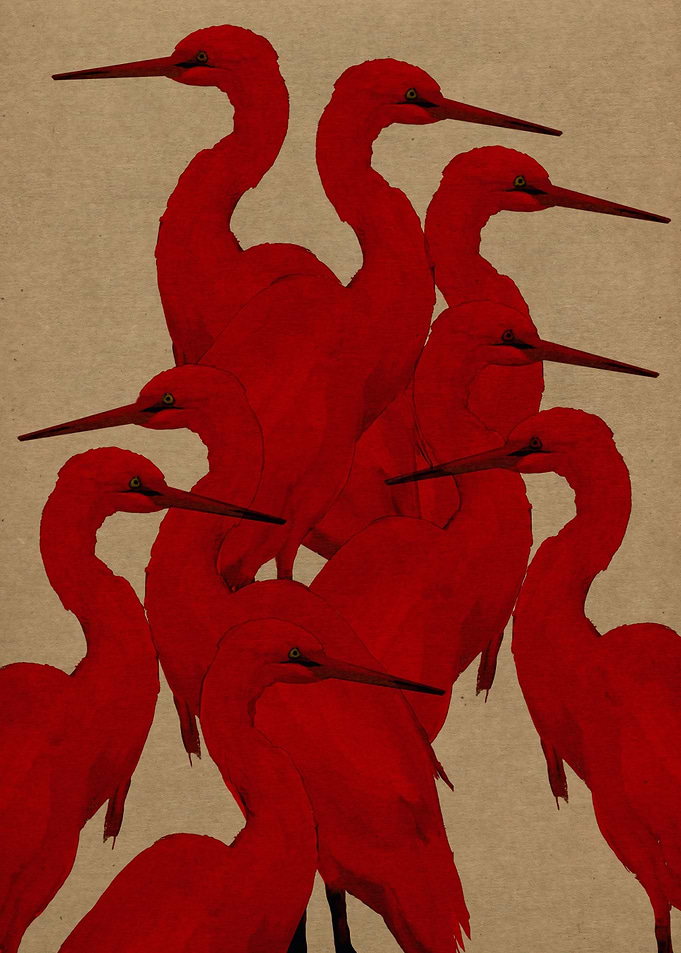 Group of Vibrant Red Herons