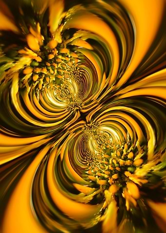Golden Bloom Vortex — Fractal Nature