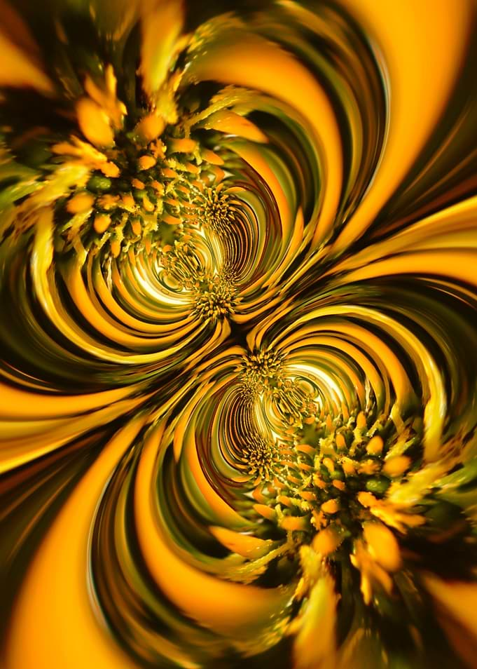 Golden Bloom Vortex — Fractal Nature