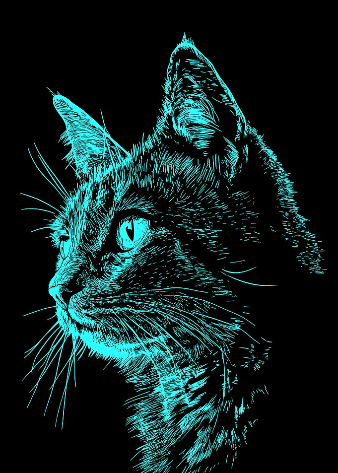Neon Cyan Cat Portrait