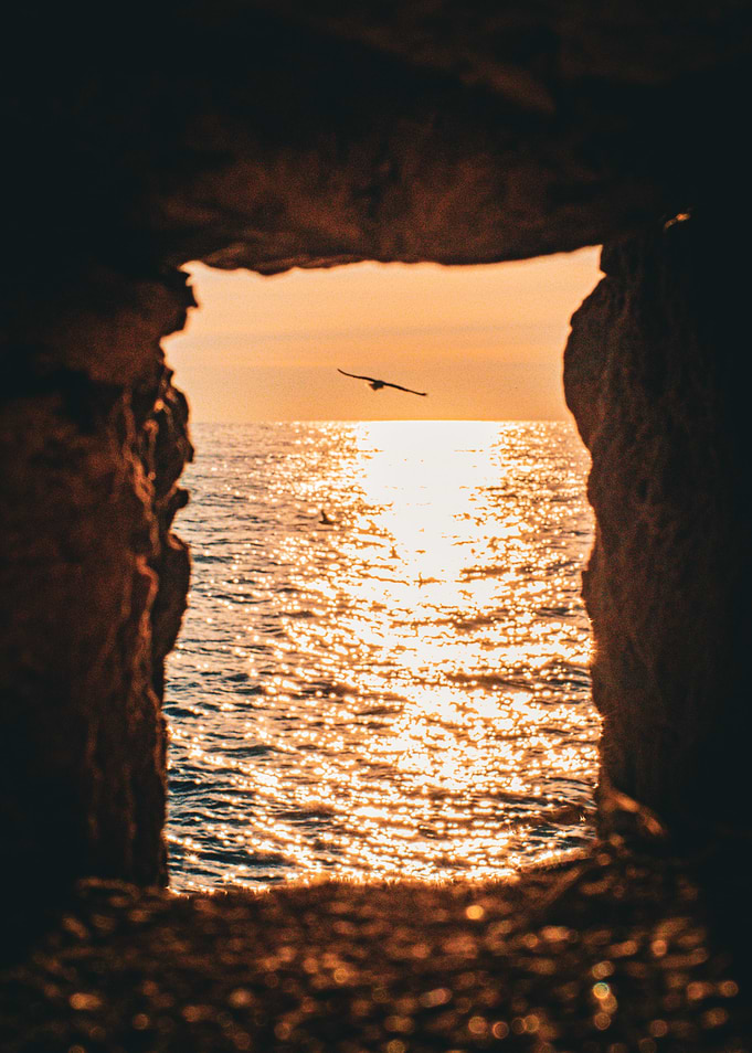 Bird Flying Over Golden Ocean Sunset