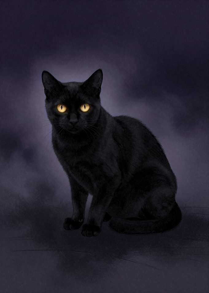 Mysterious Black Cat with Glowing Eyes