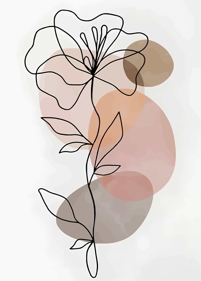 Minimalist Line Art Flower Illustration
