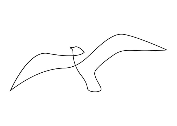 Seagull - Minimalist Single Line Drawing