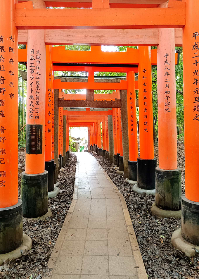 Vibrant Vermilion Torii Gate Path