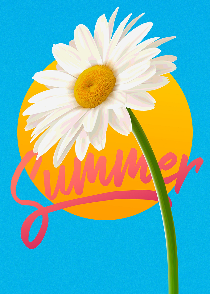 Summer Daisy Floral Graphic