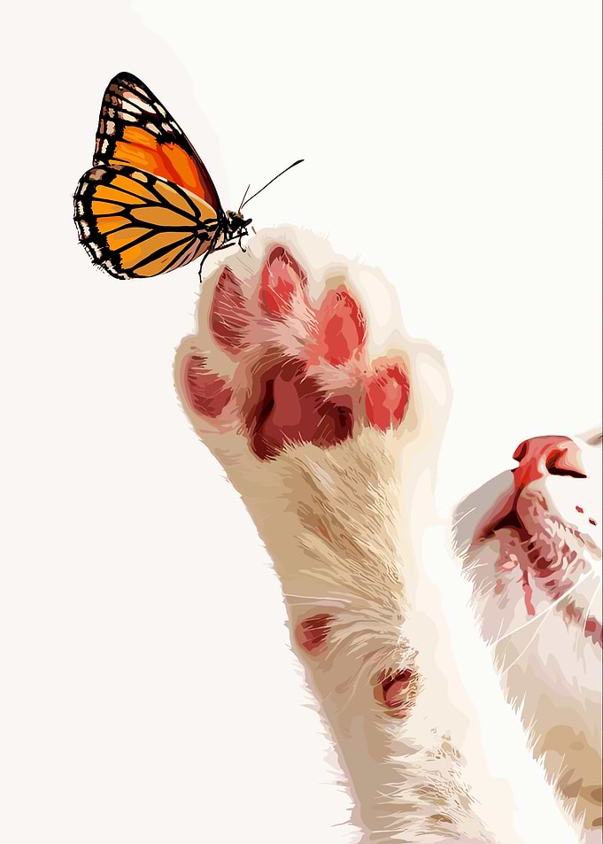 Cat Paw Reaching for Monarch Butterfly