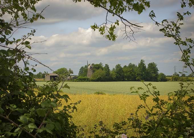 Through the Hedgerow | English Countryside Windmill, Barnack