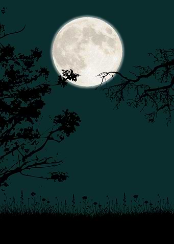 Full Moon Over Silent Fields