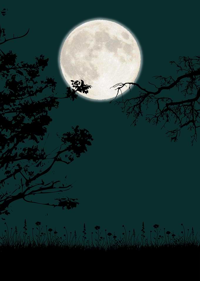Full Moon Over Silent Fields
