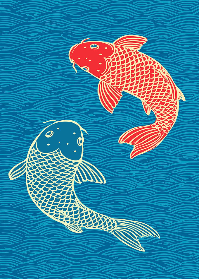 Red and White Koi Fish Illustration