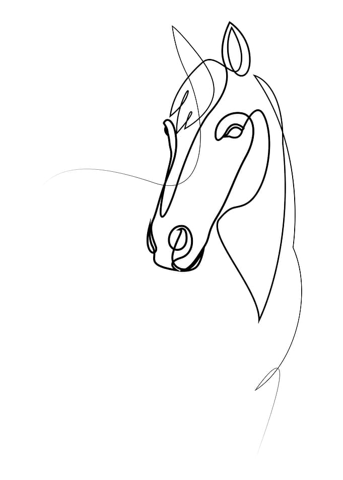 Fiducia - Minimalist Single Line Horse Drawing