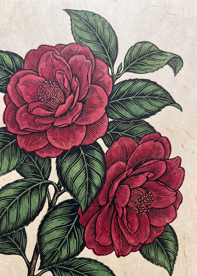 Vintage Style Red Camellia Illustration