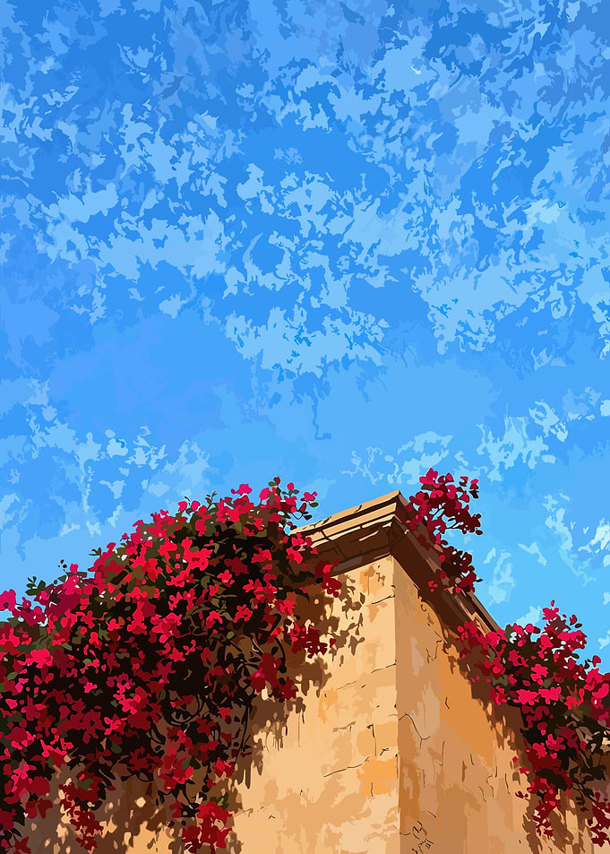 Bougainvillea on Stone Wall