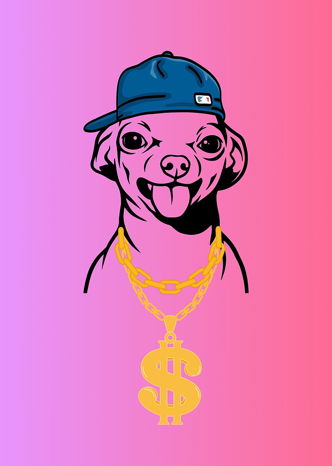 Cool Chihuahua with Gold Dollar Chain