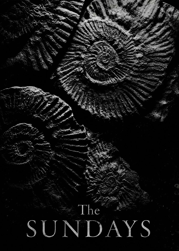 The Sundays Ammonite Fossil Poster