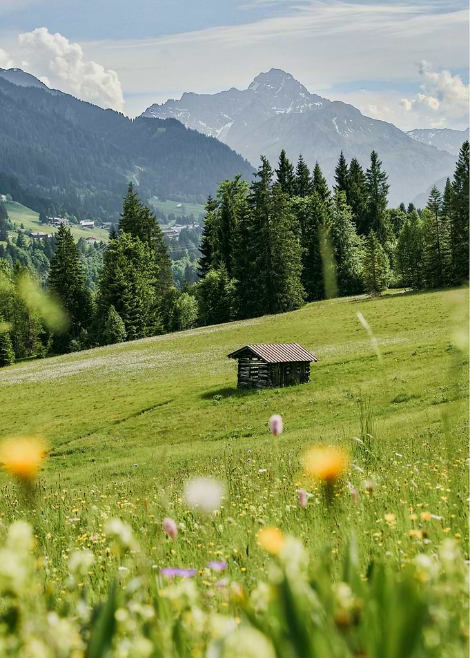 Alpine Meadow with Rustic Wooden Hut
