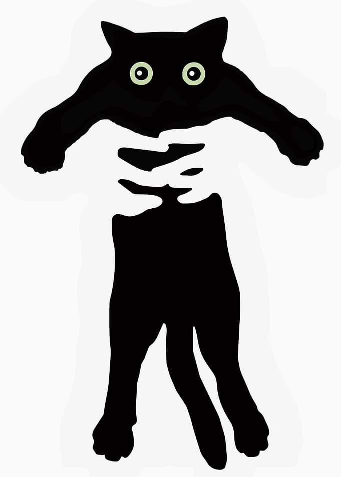Minimalist Black Cat Being Held