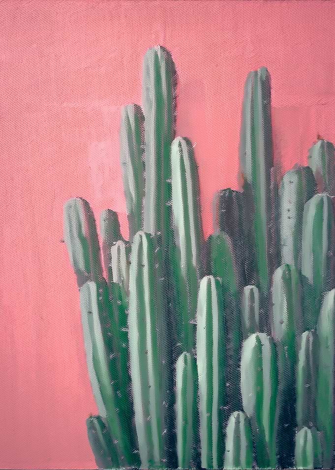 Painting of Cactus against a Pink Wall, Minimal Art