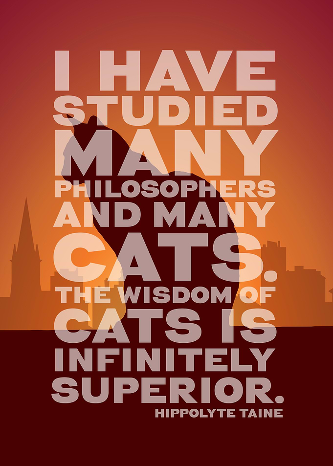 Cat Wisdom Inspirational Quote Poster