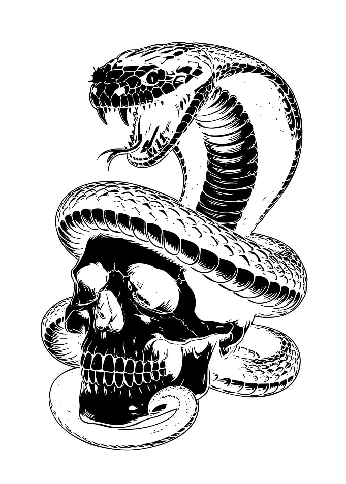 Cobra Snake Coiled Around Human Skull