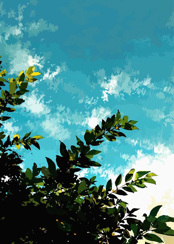 Stylized Tree Branches Against Blue Sky
