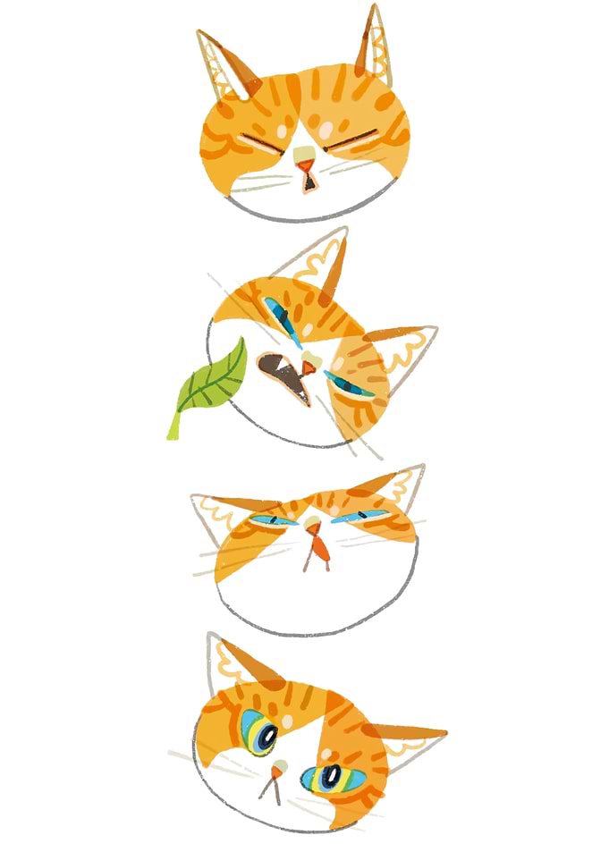 Four Expressions of an Orange Cat