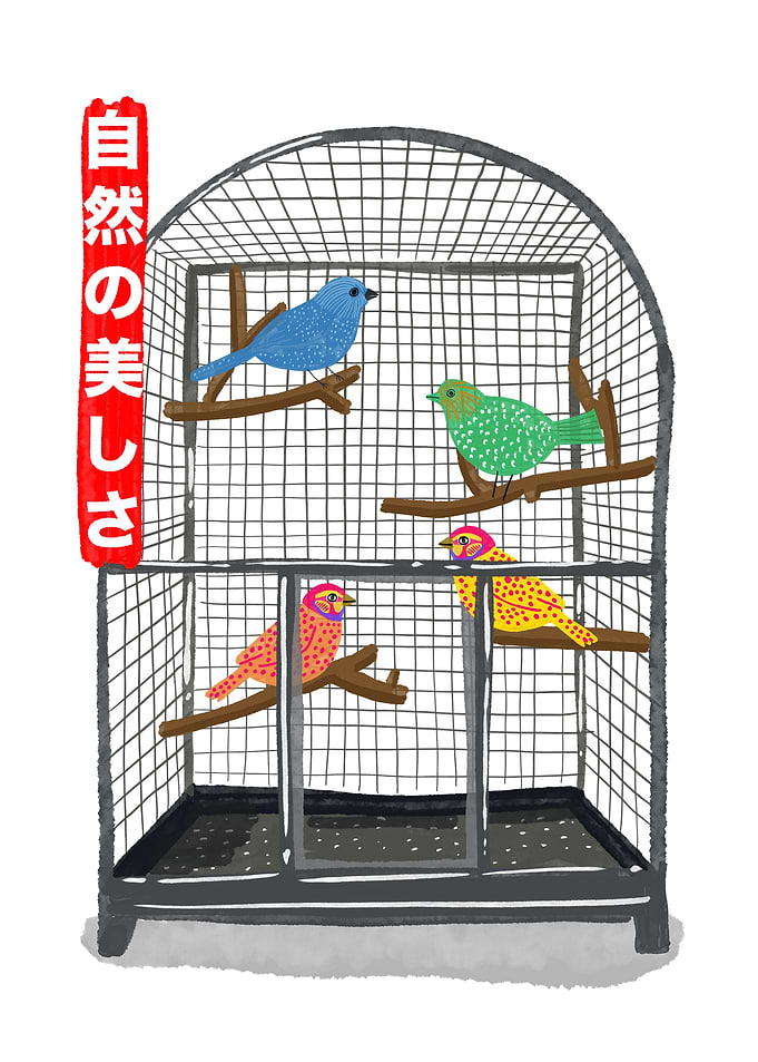 Colorful Birds in a Cage Illustration