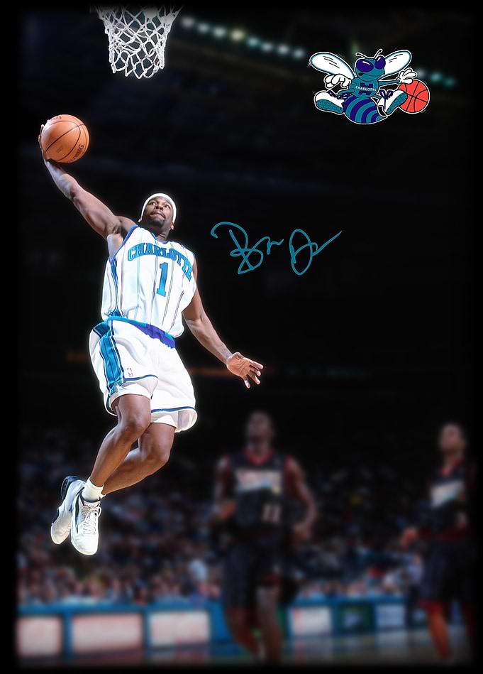 Baron Davis: Hornets Dunk